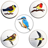 Birdie Ball Markers - Golf Gifts UK - Golf wrapped up