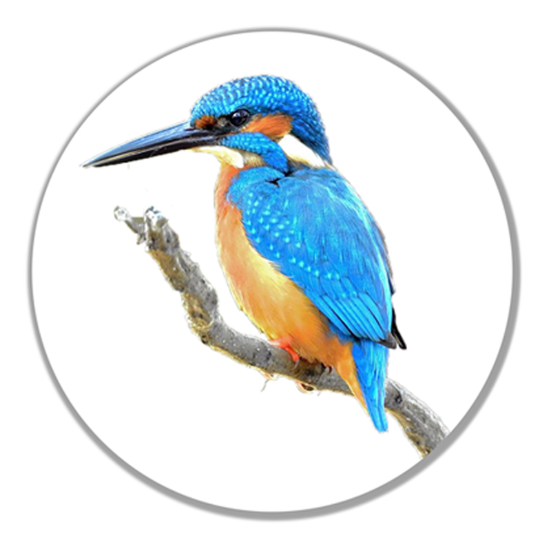 Kingfisher Birdie Ball Marker and Pencil in Presentation Sleeve - Golf Gifts UK - Golf wrapped up